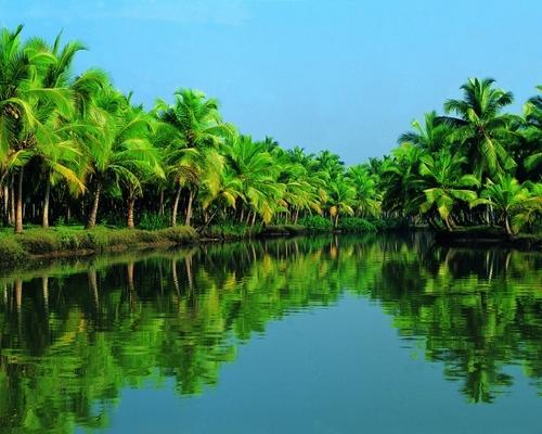 kerala 3 nights 4 days package 500x500 1 Domestic package