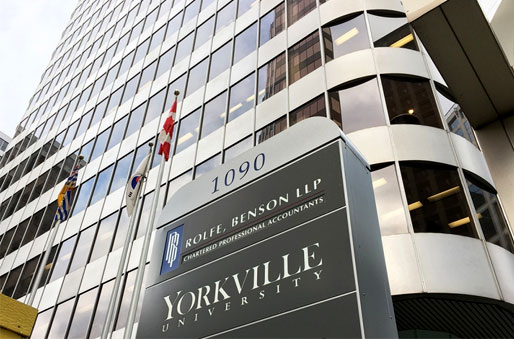 Student Visa Assistance For Yorkville University in Vadodara