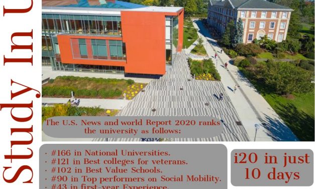 Apply studies in Adelphi University