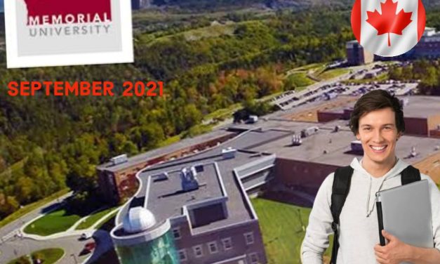 Apply study in Memorial University